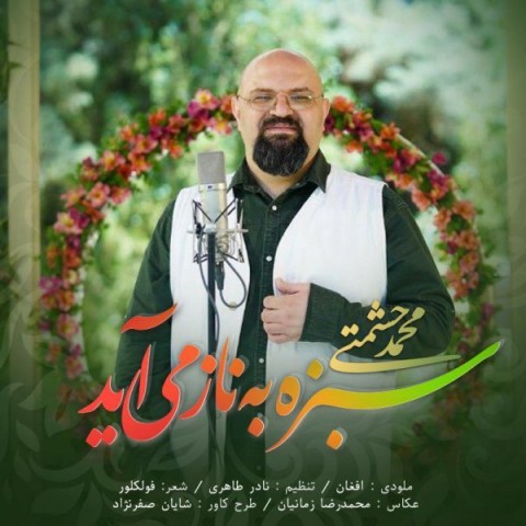 محمد حشمتی سبزه به ناز می آید